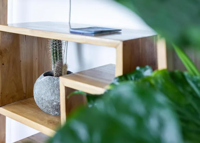 Of Tulio Apartment *